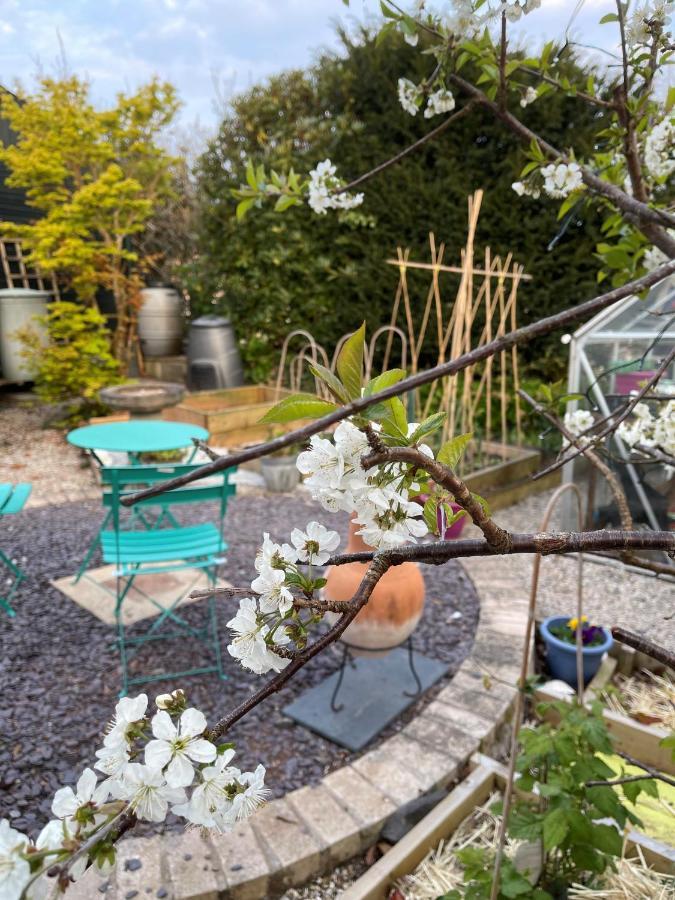 Little Haven Apartment Dartmouth Bagian luar foto